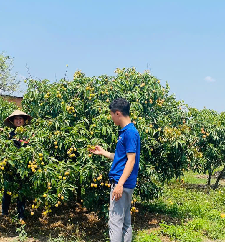 Phát huy hiệu quả nguồn vốn cho vay của Ngân hàng Chính sách xã hội  trong công tác giảm nghèo tại thôn 5, xã Cư Êwi